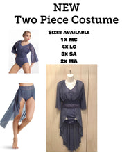 Load image into Gallery viewer, Smocked Flutter Sleeve Leotard and skirt .